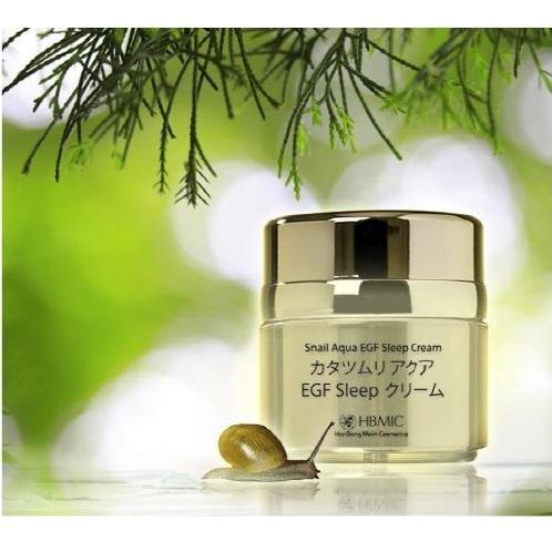 DIA EGF Snail Aqua Sleep Cream 30ml
